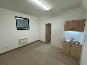 Pronájem skladu, Chýně, Družstevní, 600 m2