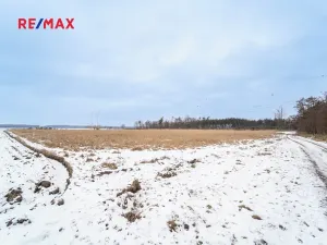 Prodej pole, Veltruby, 10898 m2