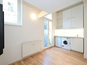 Pronájem bytu 1+kk, Praha - Smíchov, Radlická, 15 m2