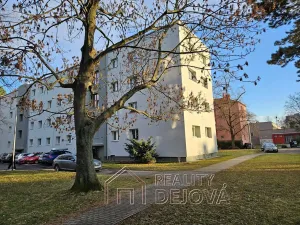 Prodej bytu 3+1, Ostrava, Gončarovova, 87 m2