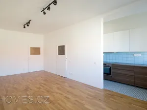 Pronájem bytu 2+kk, Praha - Nusle, U čtyř domů, 60 m2