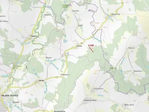 Dražba lesa, Vilice, 1105 m2