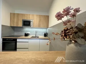 Pronájem bytu 1+kk, Zlín, Pod Hradem II, 27 m2