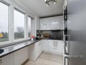 Prodej bytu 3+1, Plzeň, Částkova, 76 m2