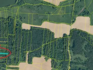 Prodej lesa, Myslív, 4556 m2