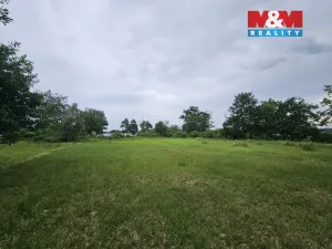 Prodej lesa, Tuřice, 7985 m2