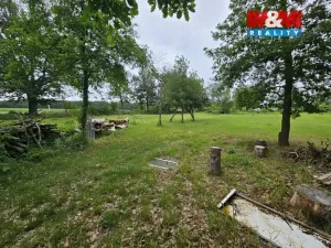 Prodej lesa, Tuřice, 7985 m2