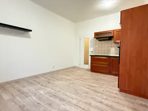 Prodej bytu 1+1, Plzeň, Tělocvičná, 47 m2