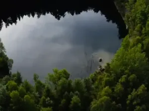 Prodej rybníku, Lipová, 80000 m2