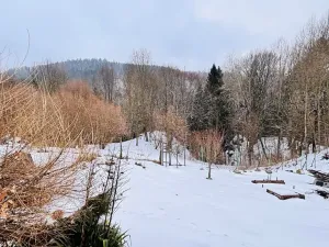 Prodej bytu 3+1, Branná, 83 m2