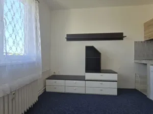 Pronájem bytu 1+kk, Příbram - Příbram I, Riegrova, 16 m2