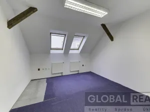 Prodej obchodního prostoru, Svitavy, Vojanova, 401 m2