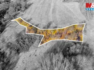 Prodej louky, Žandov - Radeč, 3251 m2