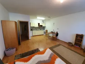 Pronájem bytu 1+kk, Jihlava, F. X. Šaldy, 38 m2