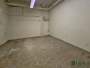 Pronájem skladu, Praha - Letňany, Beranových, 22 m2