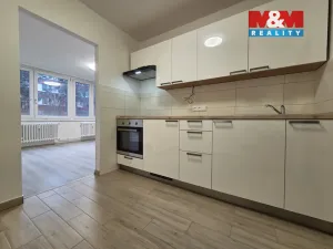Pronájem bytu 3+kk, Praha - Karlín, Molákova, 56 m2