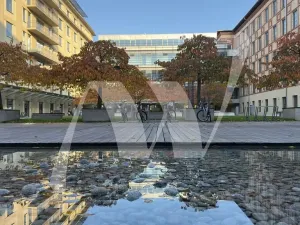 Pronájem kanceláře, Praha - Holešovice, Jankovcova, 330 m2