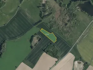 Prodej pole, Řídelov, 17409 m2