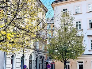 Pronájem bytu 2+1, Praha - Nové Město, Helmova, 71 m2