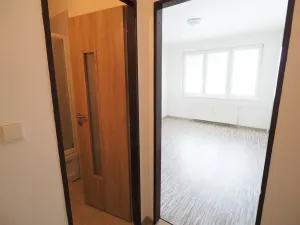 Pronájem bytu 1+kk, Písek, Dr. M. Horákové, 20 m2