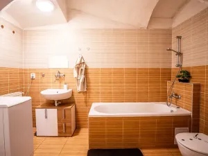 Prodej vícegeneračního domu, Hostinné, Dolní brána, 255 m2