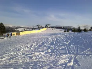 Prodej bytu 3+1, Branná, 92 m2