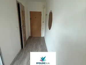 Pronájem bytu 1+1, Krupka, Karla Čapka, 35 m2