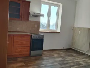 Pronájem bytu 1+1, Plzeň, Ořechová, 36 m2