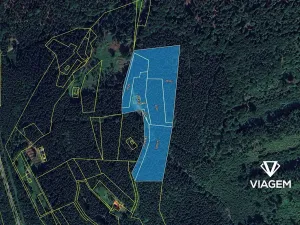 Prodej podílu lesa, Morávka, 4 m2