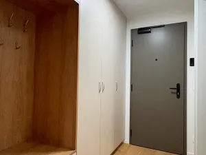 Pronájem bytu 1+kk, Brno, Bratislavská, 44 m2