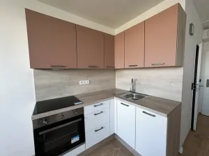 Pronájem bytu 1+kk, Praha - Střížkov, Děčínská, 25 m2