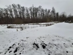 Prodej pozemku, Odrava, 5732 m2