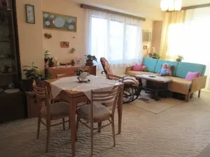 Prodej bytu 2+1, Písek, Dr. M. Horákové, 55 m2