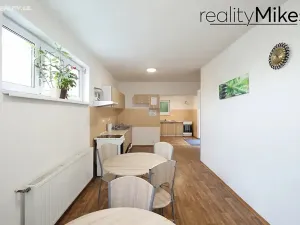 Pronájem ubytování, Dobrovice, 500 m2