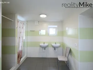 Pronájem ubytování, Dobrovice, 500 m2