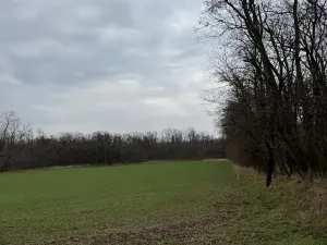 Prodej podílu lesa, Lesonice, 814 m2