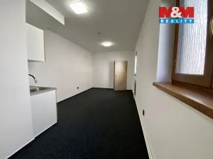 Pronájem obchodního prostoru, Český Těšín, Studentská, 40 m2