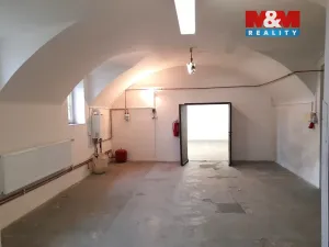 Pronájem výrobních prostor, Lešná, 220 m2