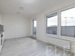 Pronájem bytu 1+kk, Praha - Hloubětín, Laponská, 31 m2