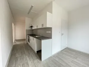 Pronájem bytu 3+1, Litvínov, Čapkova, 66 m2