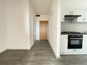 Pronájem bytu 3+1, Litvínov, Čapkova, 66 m2