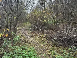 Prodej pozemku pro bydlení, Brno, Vinohrady, 990 m2