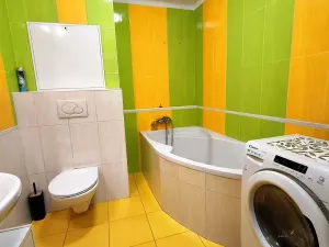 Pronájem bytu 1+kk, Plzeň, Květná, 32 m2