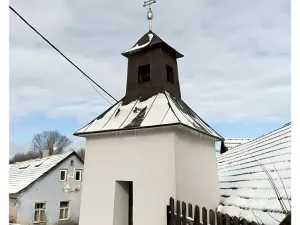 Prodej rodinného domu, Horní Radslavice, 752 m2