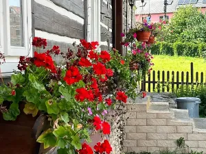 Prodej rodinného domu, Červená Voda, 310 m2