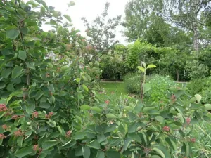 Dražba skladu, Jílové u Prahy, Pražská, 10 m2