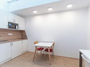 Pronájem bytu 1+kk, Praha - Nusle, Na Jezerce, 29 m2