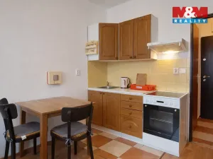 Pronájem bytu 1+kk, Strakonice - Strakonice I, Písecká, 18 m2