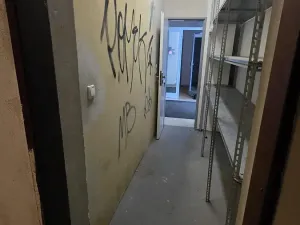 Pronájem výrobních prostor, Brno, Bieblova, 185 m2