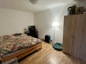 Pronájem bytu 1+1, Praha - Chodov, Švabinského, 37 m2